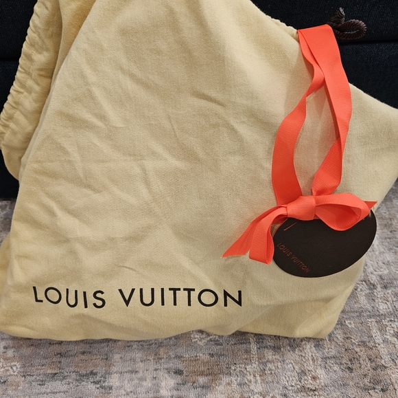 Luis Vuitton- python trimmed soft lockit mm - Picture 6 of 9